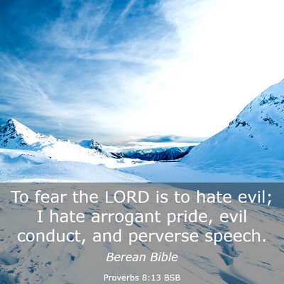 Picture 03 - Proverbs 8:13 BSB - To fear the LORD is to hate evil; I hate arrogant - Bible Verse Picture