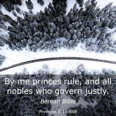 Picture 03 - Proverbs 8:16 BSB - By me princes rule, and all nobles who govern - Bible Verse Picture