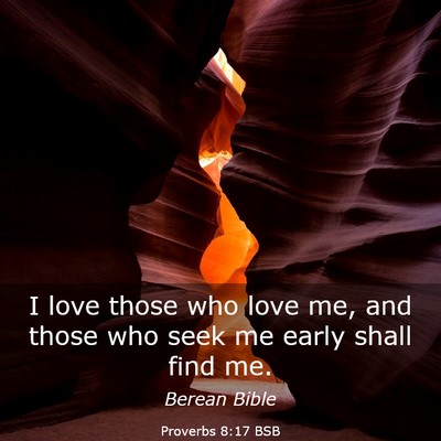Picture 03 - Proverbs 8:17 BSB - I love those who love me, and those who seek me - Bible Verse Picture