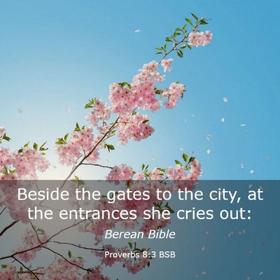 Picture 03 - Proverbs 8:3 BSB - Beside the gates to the city, at the entrances - Bible Verse Picture