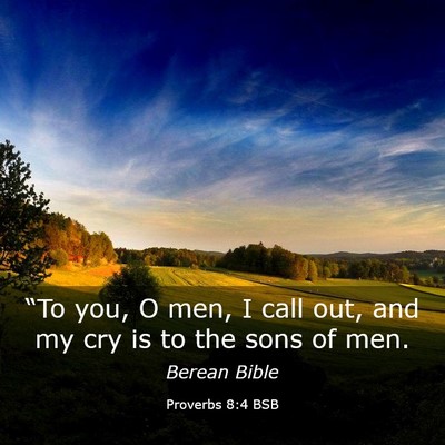 Picture 03 - Proverbs 8:4 BSB - “To you, O men, I call out, and my cry is to - Bible Verse Picture