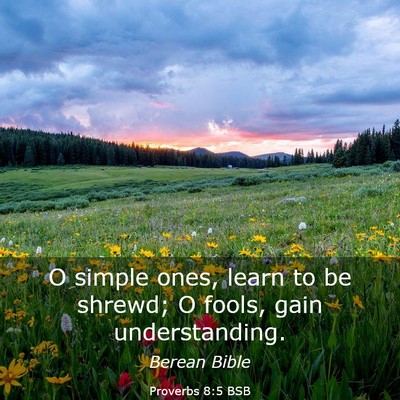 Picture 03 - Proverbs 8:5 BSB - O simple ones, learn to be shrewd; O fools, gain - Bible Verse Picture