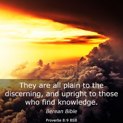 Picture 03 - Proverbs 8:9 BSB - They are all plain to the discerning, and upright - Bible Verse Picture