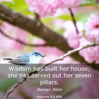 Picture 03 - Proverbs 9:1 BSB - Wisdom has built her house; she has carved out - Bible Verse Picture