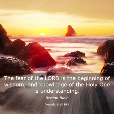 Picture 03 - Proverbs 9:10 BSB - The fear of the LORD is the beginning of wisdom, - Bible Verse Picture