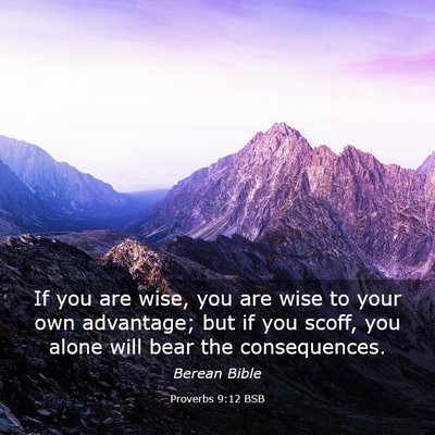 Picture 03 - Proverbs 9:12 BSB - If you are wise, you are wise to your own - Bible Verse Picture