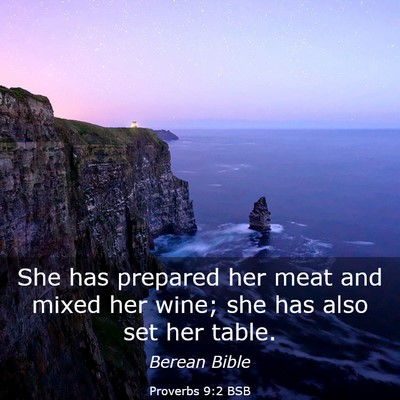 Picture 03 - Proverbs 9:2 BSB - She has prepared her meat and mixed her wine; she - Bible Verse Picture