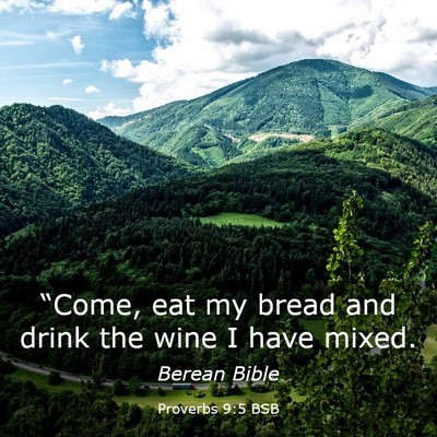 Picture 03 - Proverbs 9:5 BSB - “Come, eat my bread and drink the wine I have - Bible Verse Picture