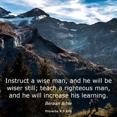 Picture 03 - Proverbs 9:9 BSB - Instruct a wise man, and he will be wiser still; - Bible Verse Picture