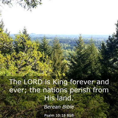 Picture 03 - Psalm 10:16 BSB - The LORD is King forever and ever; the nations - Bible Verse Picture