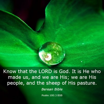 Picture 03 - Psalm 100:3 BSB - Know that the LORD is God. It is He who made us, - Bible Verse Picture