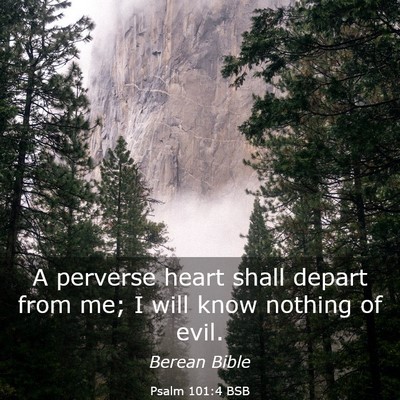 Picture 03 - Psalm 101:4 BSB - A perverse heart shall depart from me; I will - Bible Verse Picture