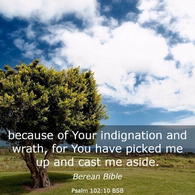 Picture 03 - Psalm 102:10 BSB - because of Your indignation and wrath, for You - Bible Verse Picture