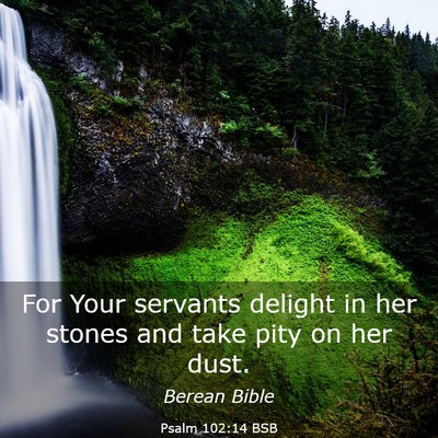 Picture 03 - Psalm 102:14 BSB - For Your servants delight in her stones and take - Bible Verse Picture