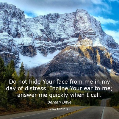 Picture 03 - Psalm 102:2 BSB - Do not hide Your face from me in my day of - Bible Verse Picture