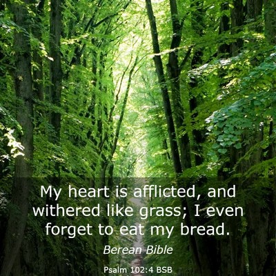 Picture 03 - Psalm 102:4 BSB - My heart is afflicted, and withered like grass; I - Bible Verse Picture