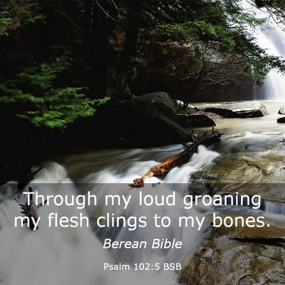 Picture 03 - Psalm 102:5 BSB - Through my loud groaning my flesh clings to my - Bible Verse Picture