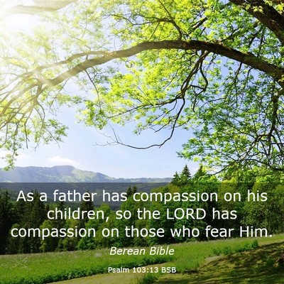 Picture 03 - Psalm 103:13 BSB - As a father has compassion on his children, so - Bible Verse Picture