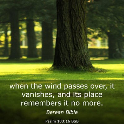 Picture 03 - Psalm 103:16 BSB - when the wind passes over, it vanishes, and its - Bible Verse Picture