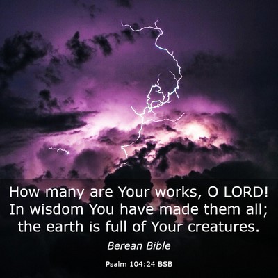 Picture 03 - Psalm 104:24 BSB - How many are Your works, O LORD! In wisdom You - Bible Verse Picture