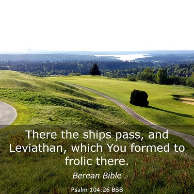 Picture 03 - Psalm 104:26 BSB - There the ships pass, and Leviathan, which You - Bible Verse Picture