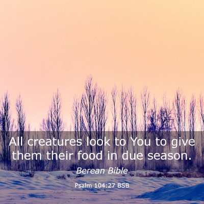 Picture 03 - Psalm 104:27 BSB - All creatures look to You to give them their food - Bible Verse Picture
