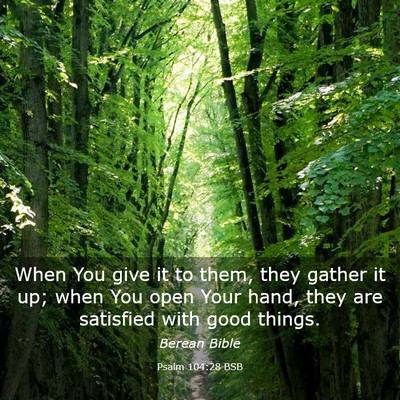 Picture 03 - Psalm 104:28 BSB - When You give it to them, they gather it up; when - Bible Verse Picture