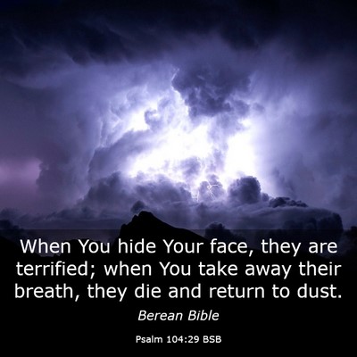 Picture 03 - Psalm 104:29 BSB - When You hide Your face, they are terrified; when - Bible Verse Picture