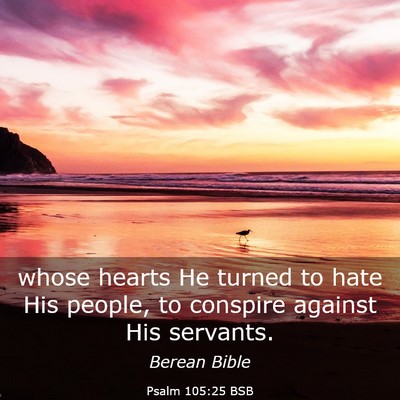 Picture 03 - Psalm 105:25 BSB - whose hearts He turned to hate His people, to - Bible Verse Picture