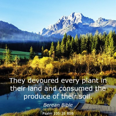 Picture 03 - Psalm 105:35 BSB - They devoured every plant in their land and - Bible Verse Picture