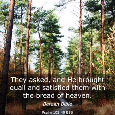 Picture 03 - Psalm 105:40 BSB - They asked, and He brought quail and satisfied - Bible Verse Picture