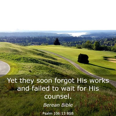 Picture 03 - Psalm 106:13 BSB - Yet they soon forgot His works and failed to wait - Bible Verse Picture