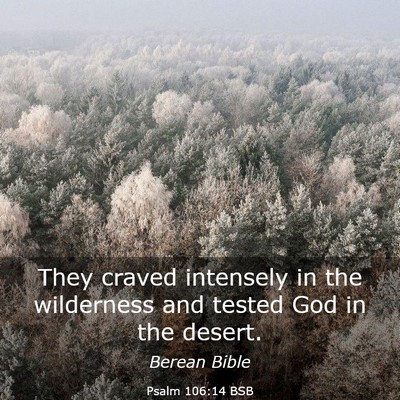 Picture 03 - Psalm 106:14 BSB - They craved intensely in the wilderness and - Bible Verse Picture