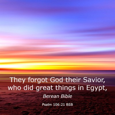 Picture 03 - Psalm 106:21 BSB - They forgot God their Savior, who did great - Bible Verse Picture