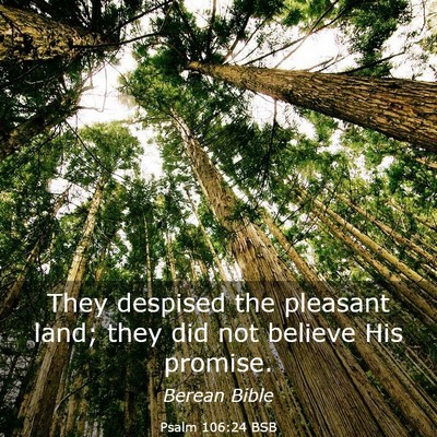 Picture 03 - Psalm 106:24 BSB - They despised the pleasant land; they did not - Bible Verse Picture