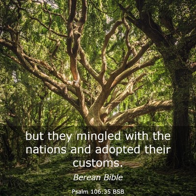 Picture 03 - Psalm 106:35 BSB - but they mingled with the nations and adopted - Bible Verse Picture