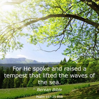 Picture 03 - Psalm 107:25 BSB - For He spoke and raised a tempest that lifted the - Bible Verse Picture