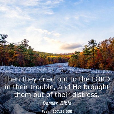 Picture 03 - Psalm 107:28 BSB - Then they cried out to the LORD in their trouble, - Bible Verse Picture