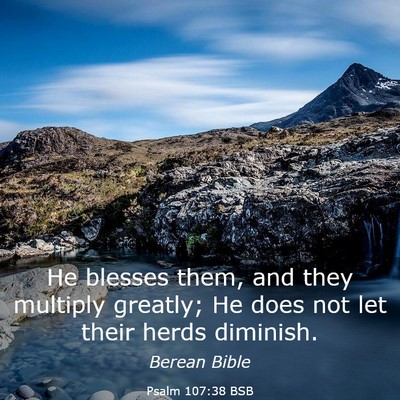 Picture 03 - Psalm 107:38 BSB - He blesses them, and they multiply greatly; He - Bible Verse Picture