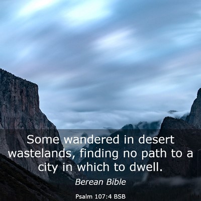 Picture 03 - Psalm 107:4 BSB - Some wandered in desert wastelands, finding no - Bible Verse Picture
