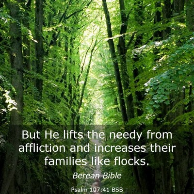 Picture 03 - Psalm 107:41 BSB - But He lifts the needy from affliction and - Bible Verse Picture