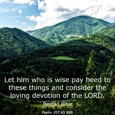 Picture 03 - Psalm 107:43 BSB - Let him who is wise pay heed to these things and - Bible Verse Picture