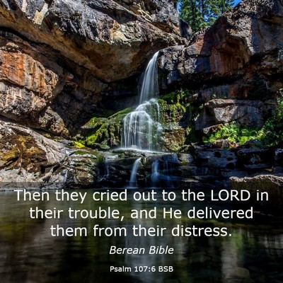 Picture 03 - Psalm 107:6 BSB - Then they cried out to the LORD in their trouble, - Bible Verse Picture