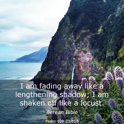 Picture 03 - Psalm 109:23 BSB - I am fading away like a lengthening shadow; I am - Bible Verse Picture