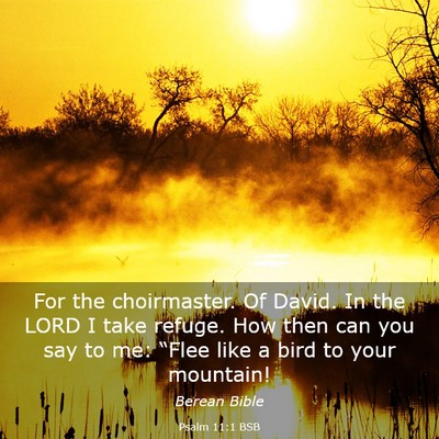 Picture 03 - Psalm 11:1 BSB - For the choirmaster. Of David. In the LORD I take - Bible Verse Picture