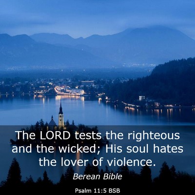 Picture 03 - Psalm 11:5 BSB - The LORD tests the righteous and the wicked; His - Bible Verse Picture