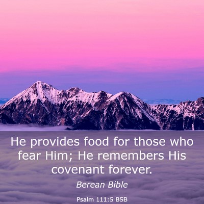 Picture 03 - Psalm 111:5 BSB - He provides food for those who fear Him; He - Bible Verse Picture