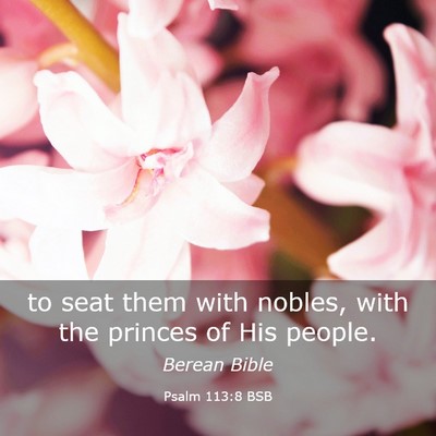 Picture 03 - Psalm 113:8 BSB - to seat them with nobles, with the princes of His - Bible Verse Picture