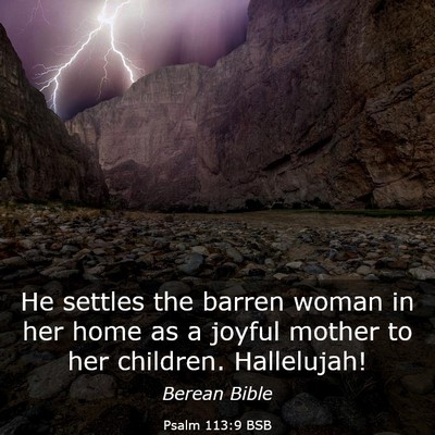 Picture 03 - Psalm 113:9 BSB - He settles the barren woman in her home as a - Bible Verse Picture