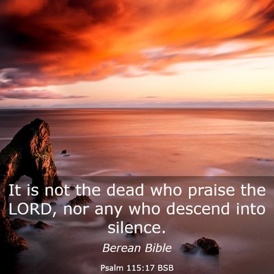 Picture 03 - Psalm 115:17 BSB - It is not the dead who praise the LORD, nor any - Bible Verse Picture